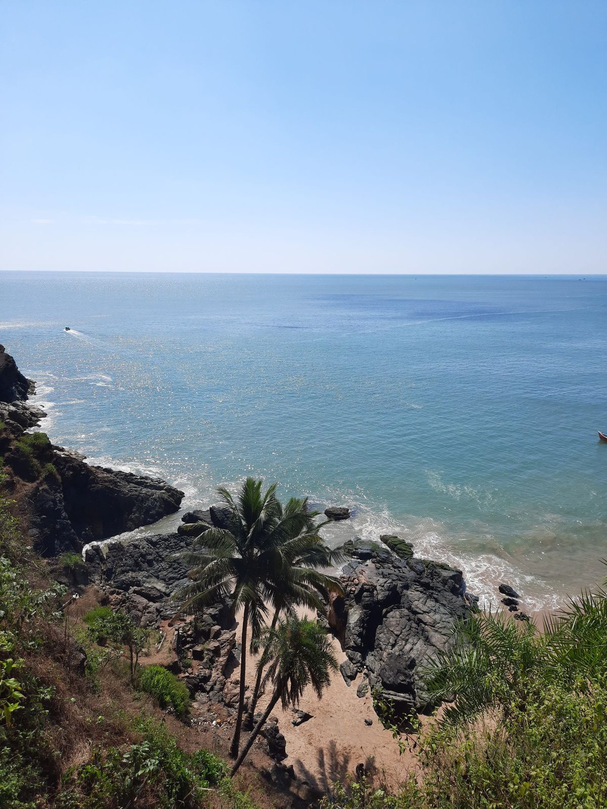 Coconut palms on the cliffs above the sea, Gokarna